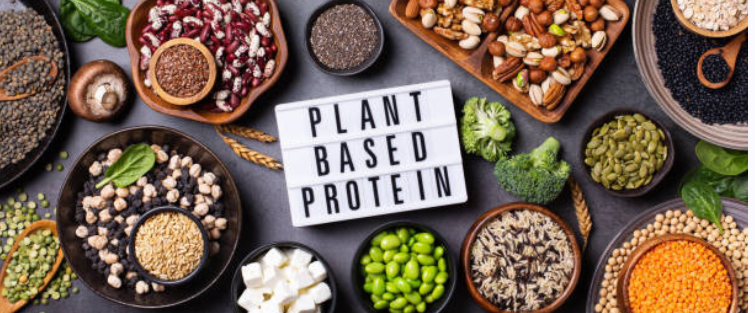 You Can Get Enough Protein on a Plant-Based Diet!