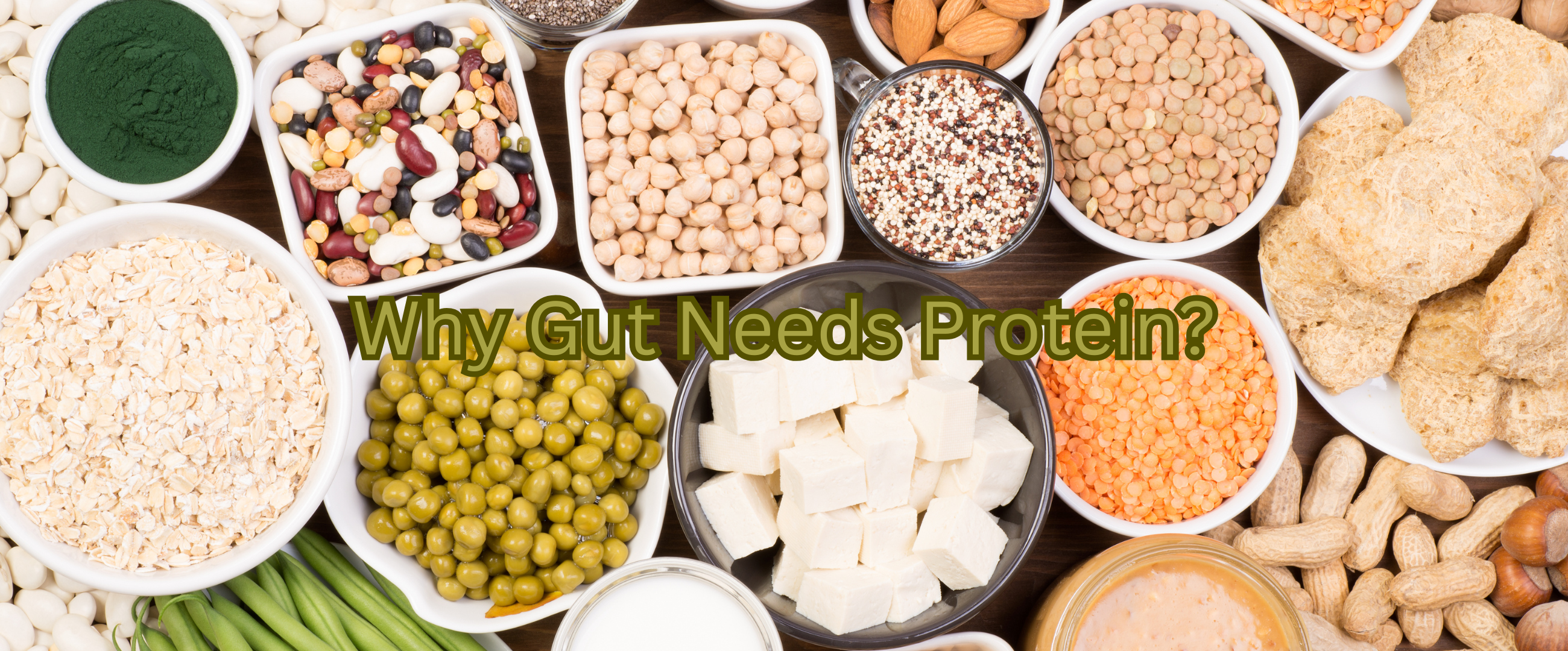 Why Your Microbes Need Protein?