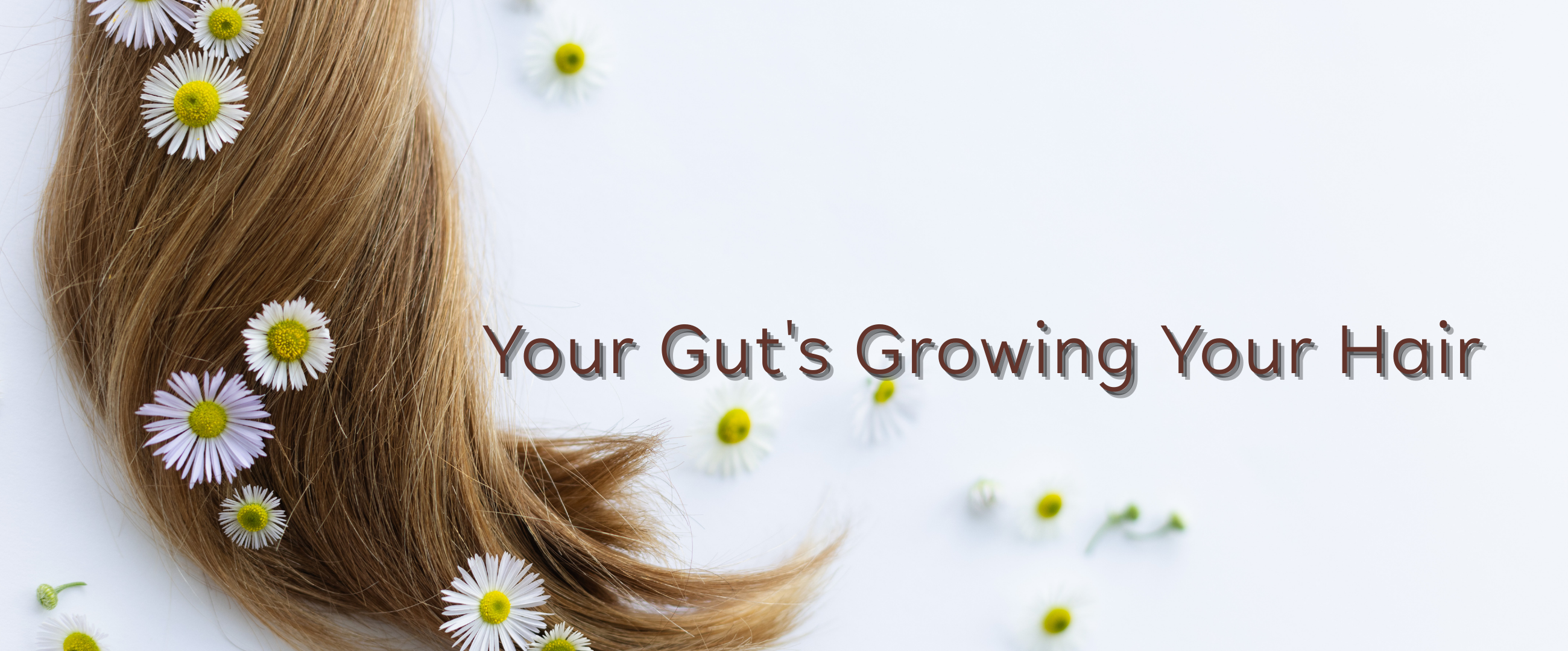 Forget Fancy Shampoos. Your Hair Problems Start in Your Gut.
