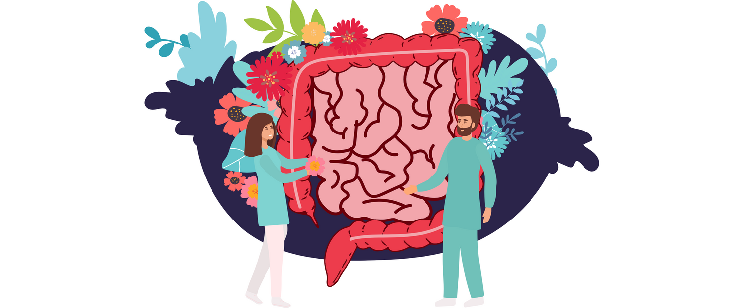 How To Heal Your Gut Microbiome?